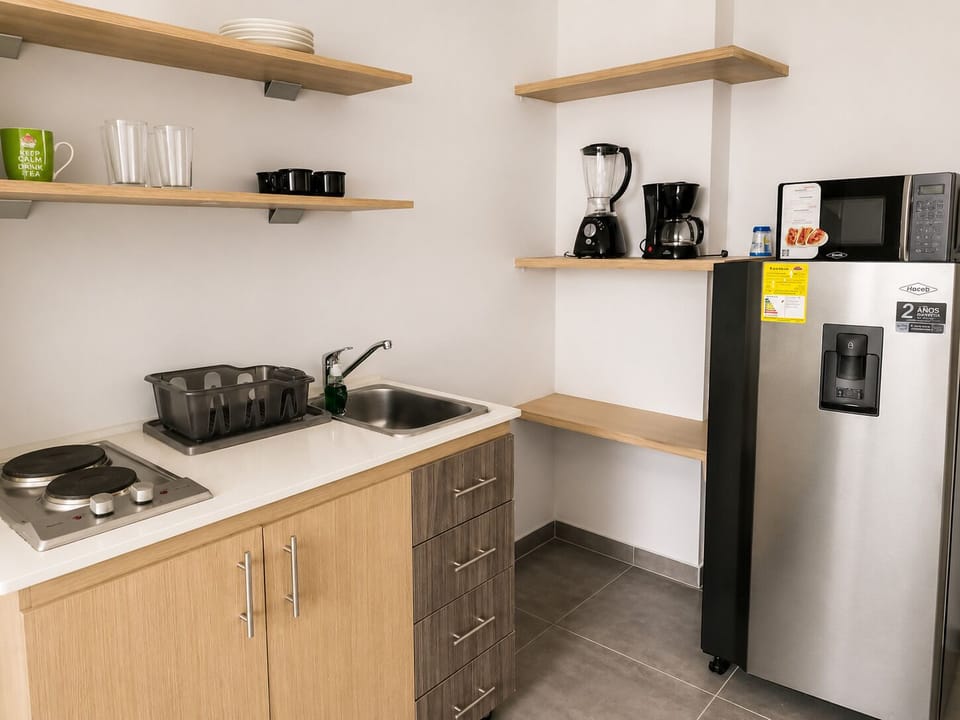 Standard Apartment, City View | Private kitchen | Full-size fridge, blender
