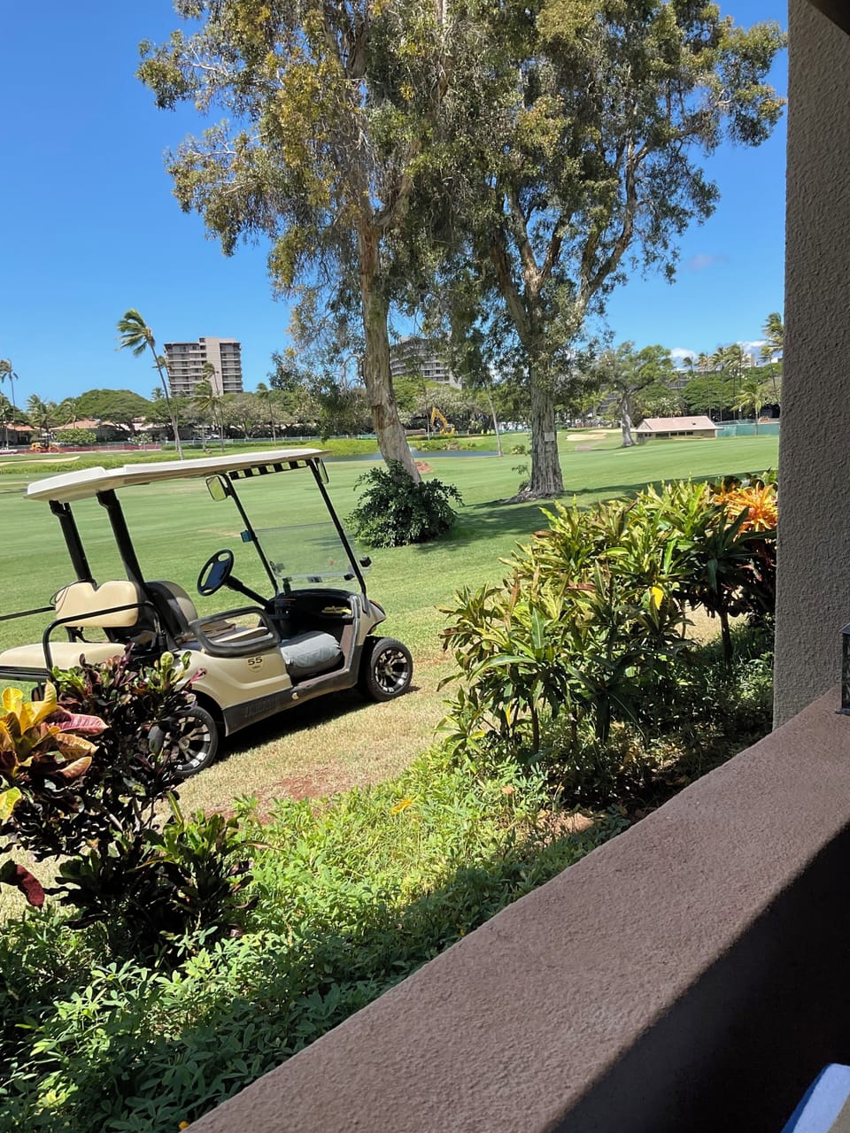 My golf cart is available for a daily fee of $6, must be over 21 to drive.