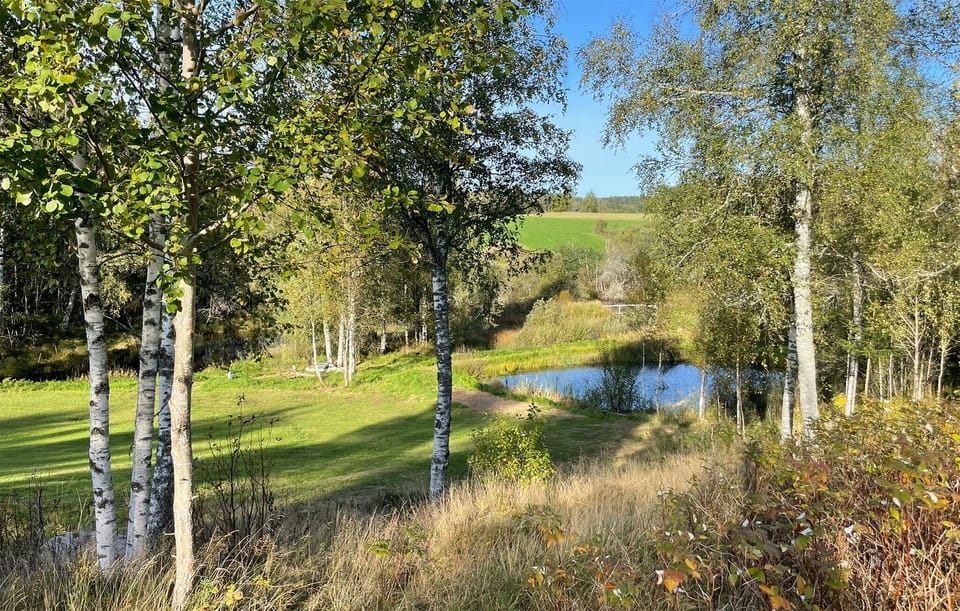 view-from-room