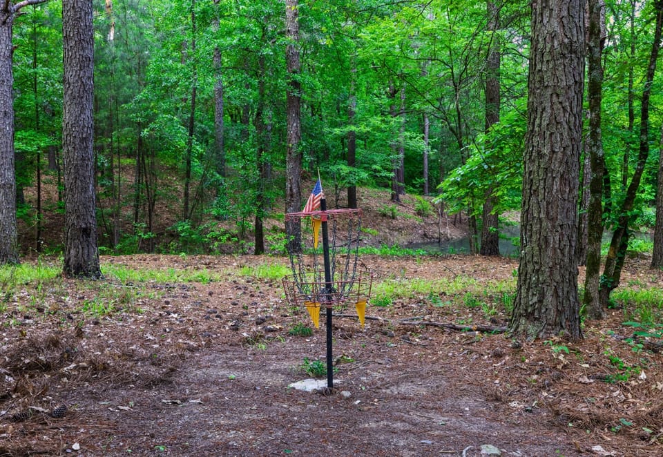 Disc golf fun right outside your cabin door.