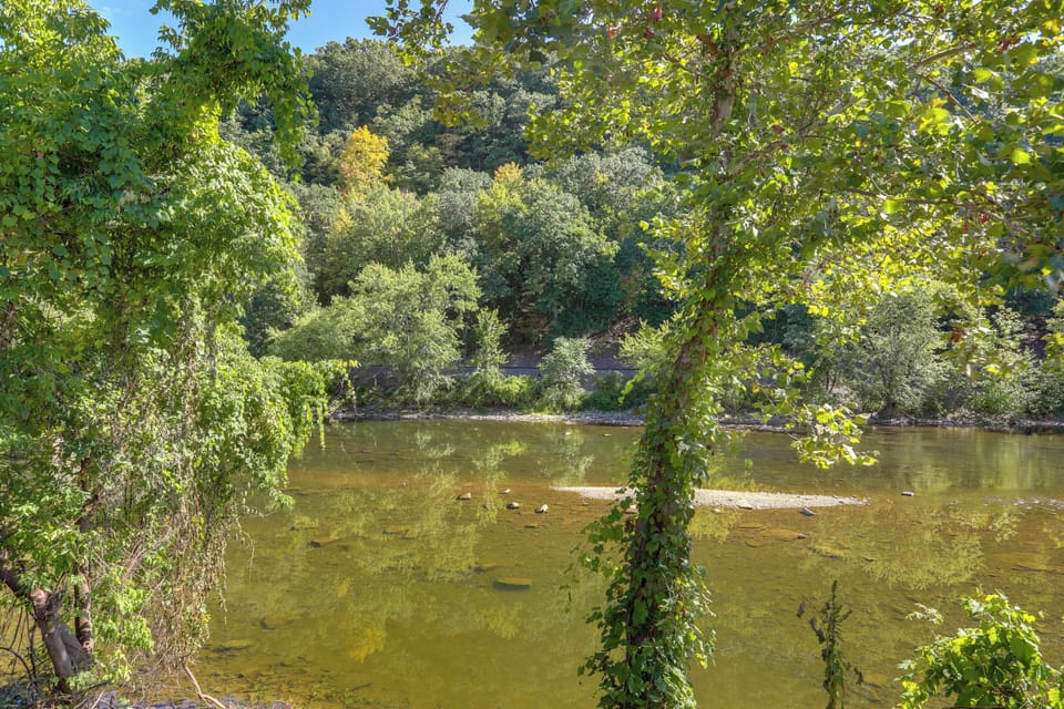 French Creek Views