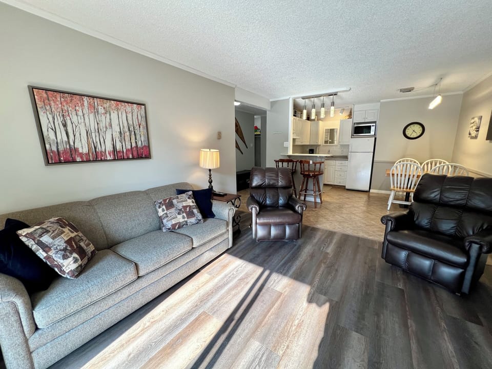 Cozy open planning. Pull Out sofa bed and two rocking leather chairs.