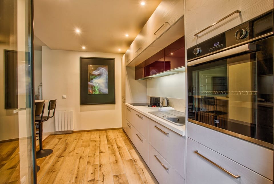 Apartment | Private kitchen | Oven, cookware/dishes/utensils, cleaning supplies