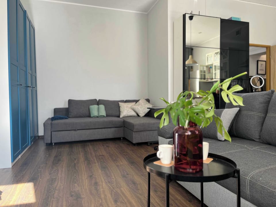 Living room with a comfortable sofa and TV. 