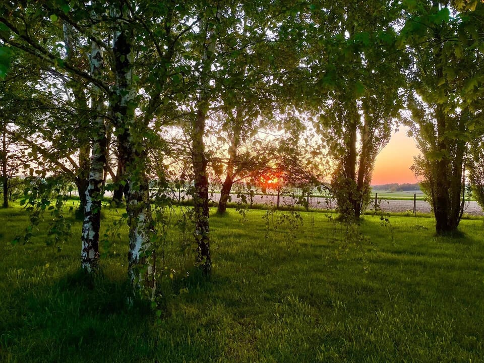 Coucher de Soleil depuis le Parc