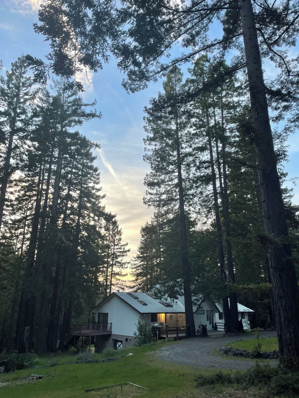 Exterior showing side deck - surrounded by privacy & amazing Redwood trees!