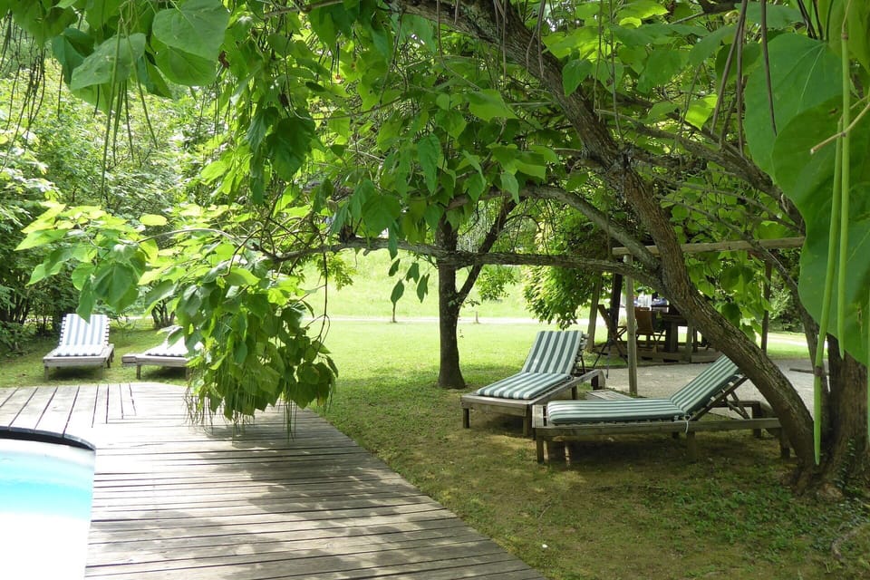 Autumn, Garden, Pool, Spring, Summer