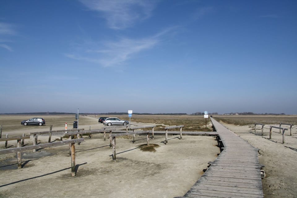 Immediate Surroundings [summer] (<1 km)