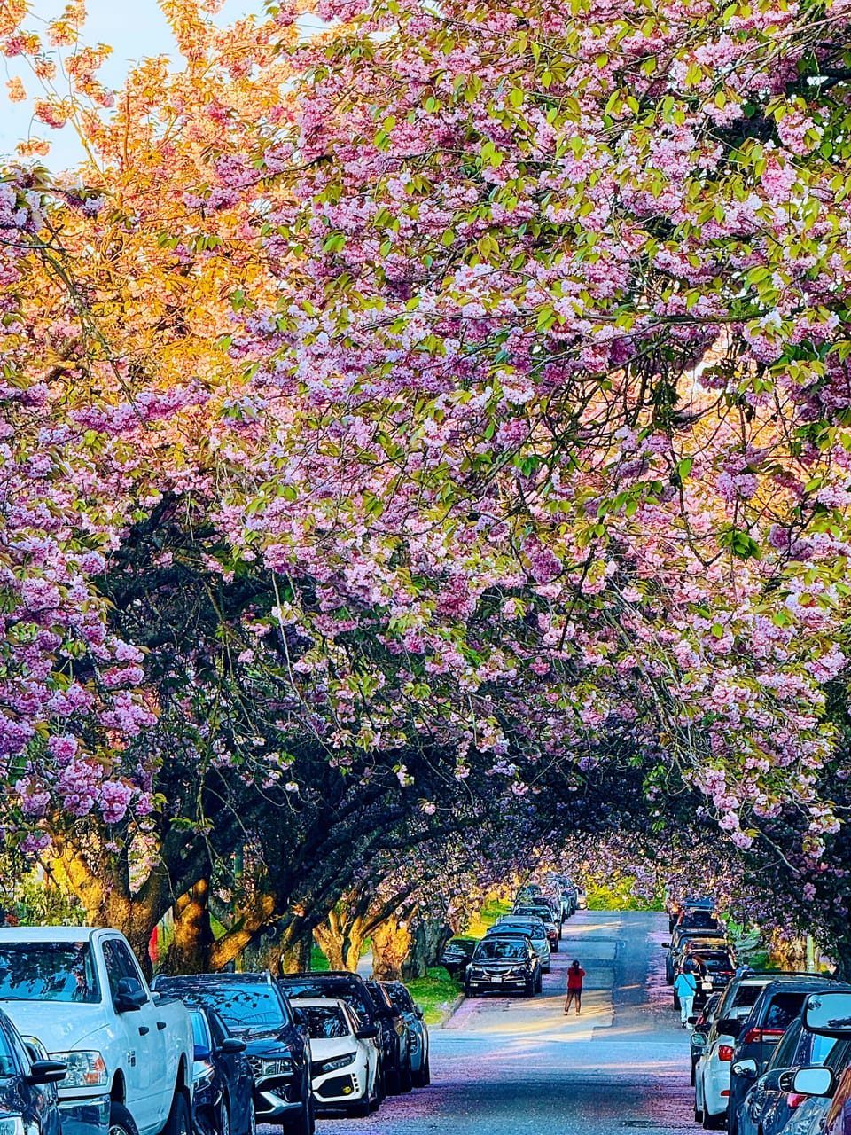 Surroundings 