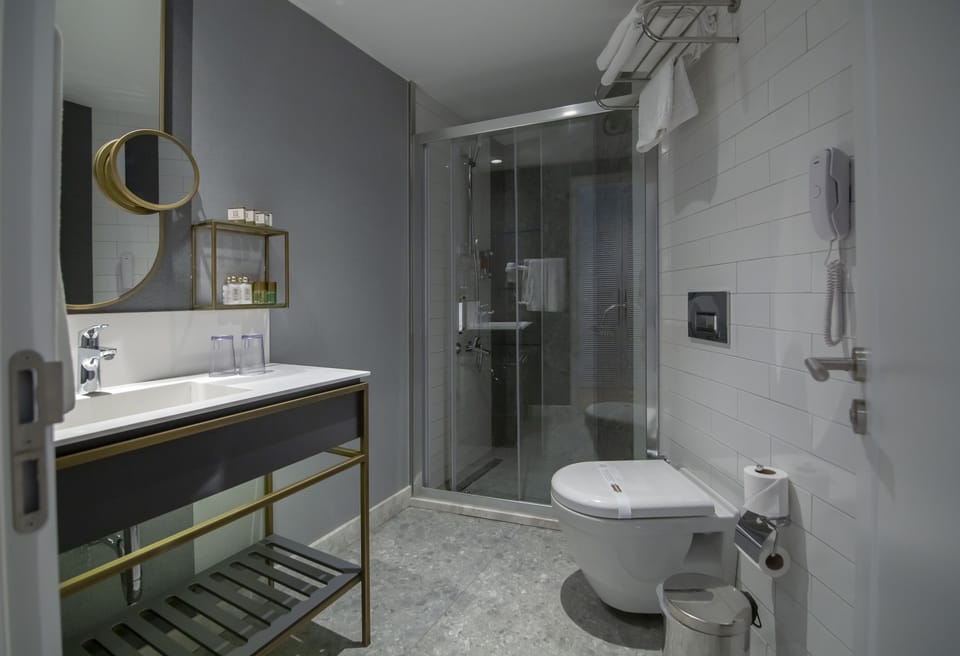 Family Room (Superior) | Bathroom shower