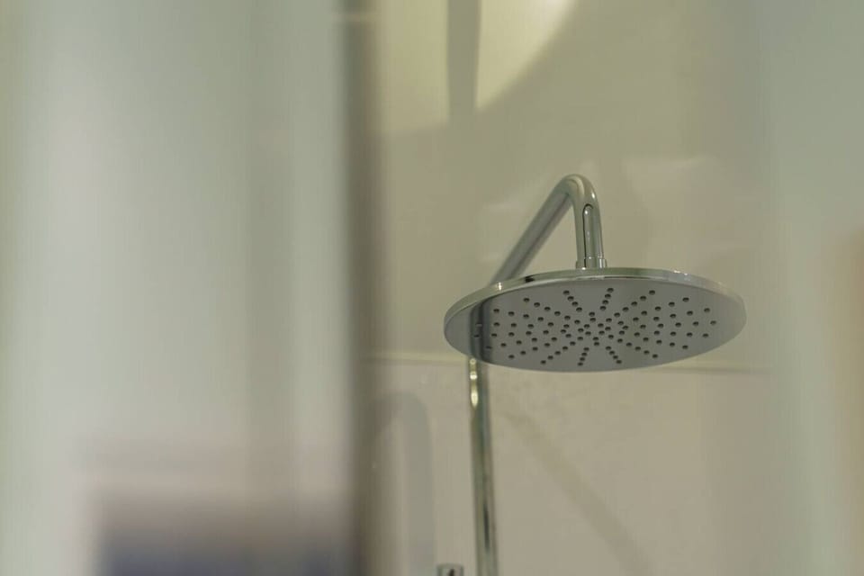 Hand-held showerhead