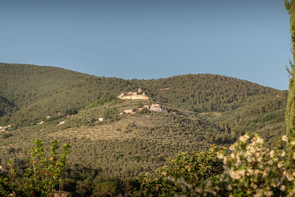 Land view from property