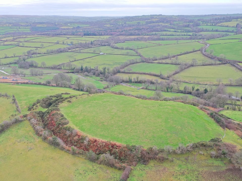 Cottage | Aerial view