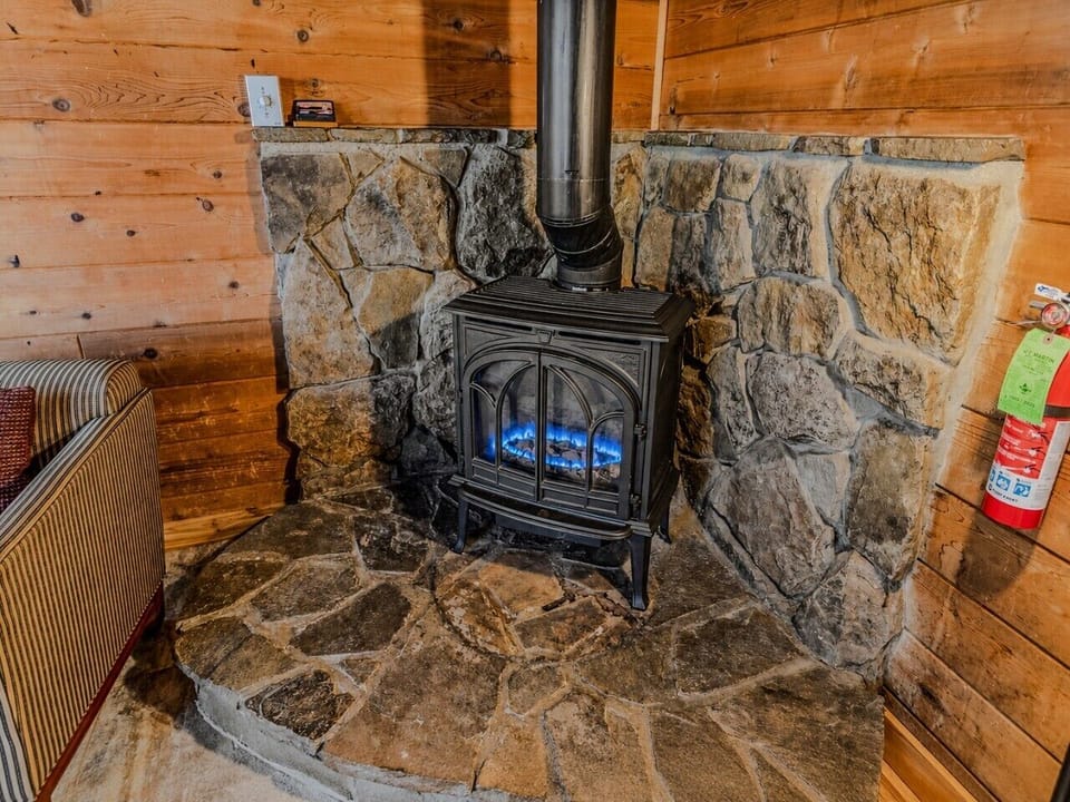 Gas Fireplace in Living room