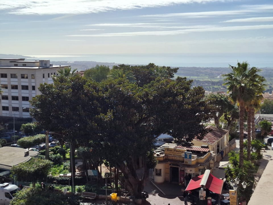 Rooftop terrace