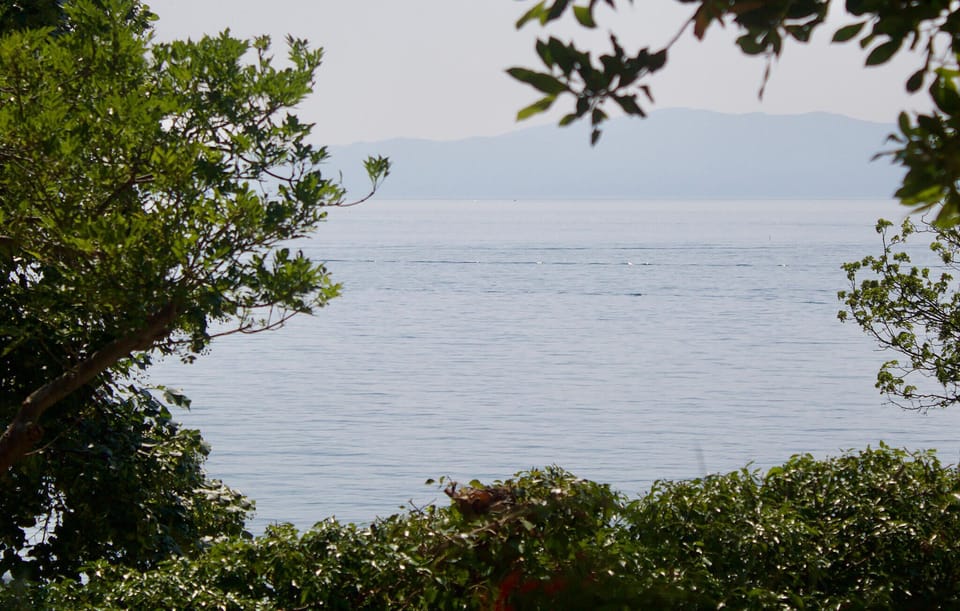 view-from-room