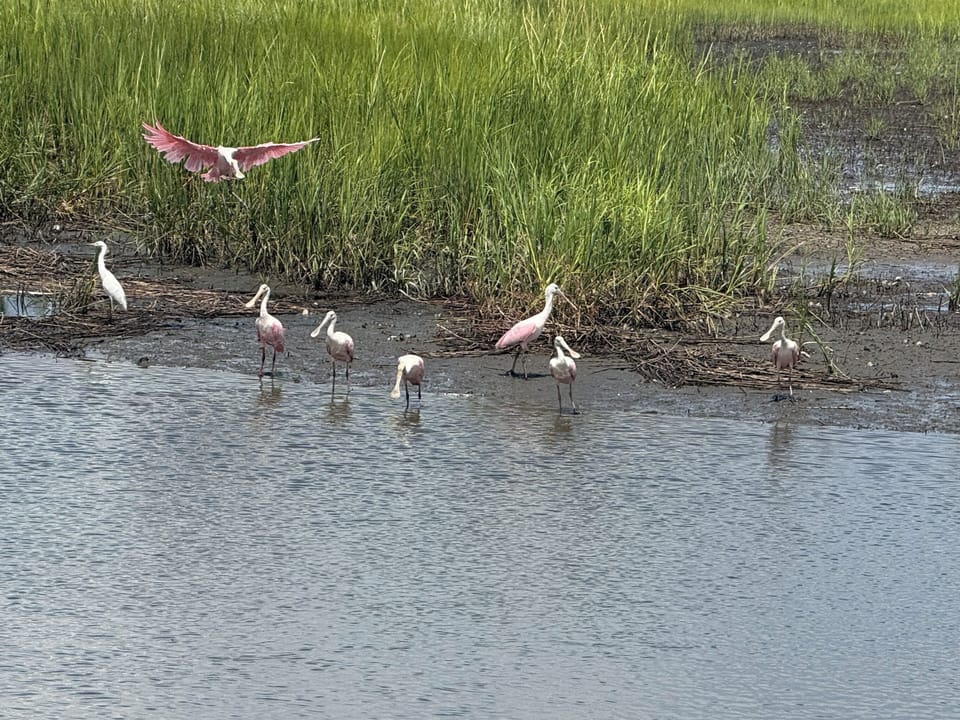 Looking for more wildlife? Huntington State Park!