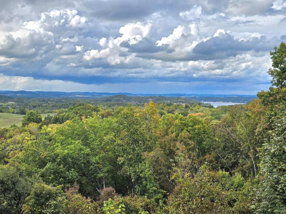 View from Back Deck
