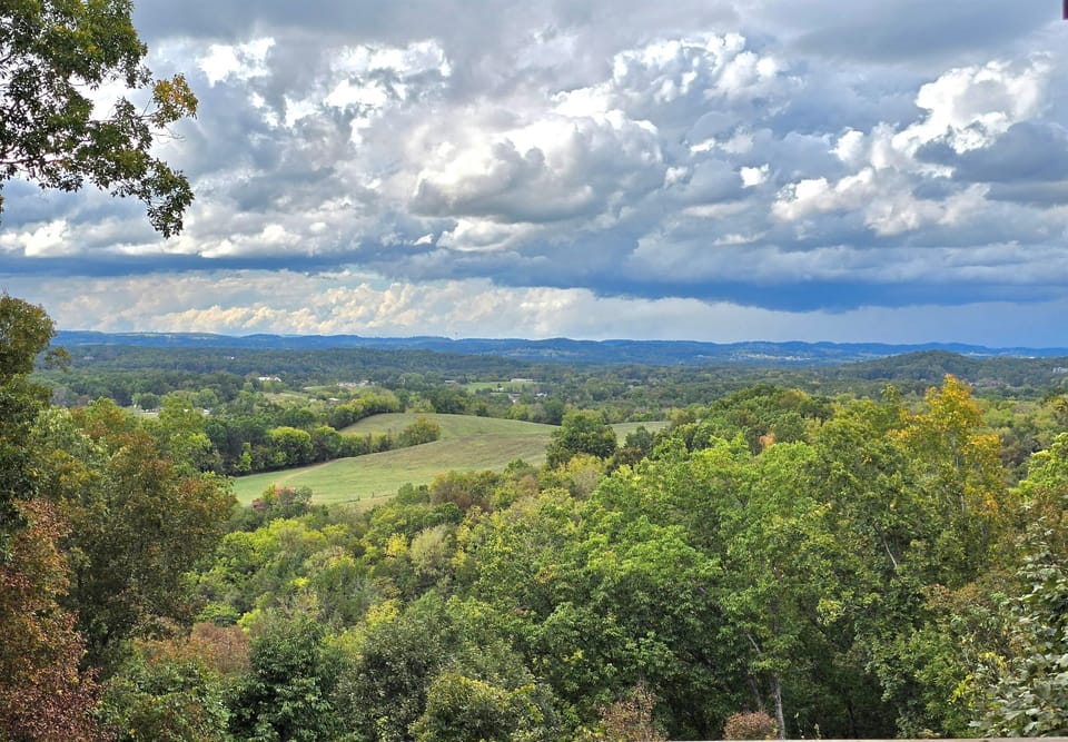 View out Back