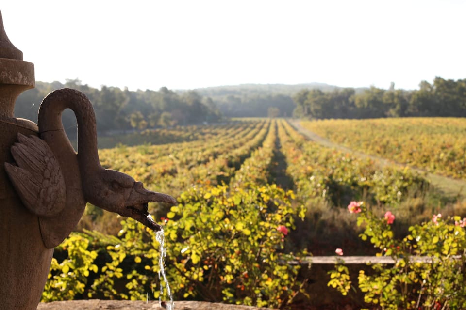 garden, fountain, vineyards