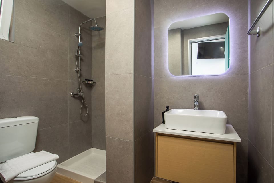 Standard Double or Twin Room | Bathroom | Shower, hair dryer, towels, soap
