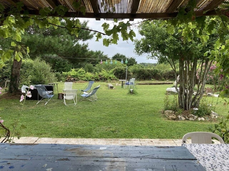 Back Garden