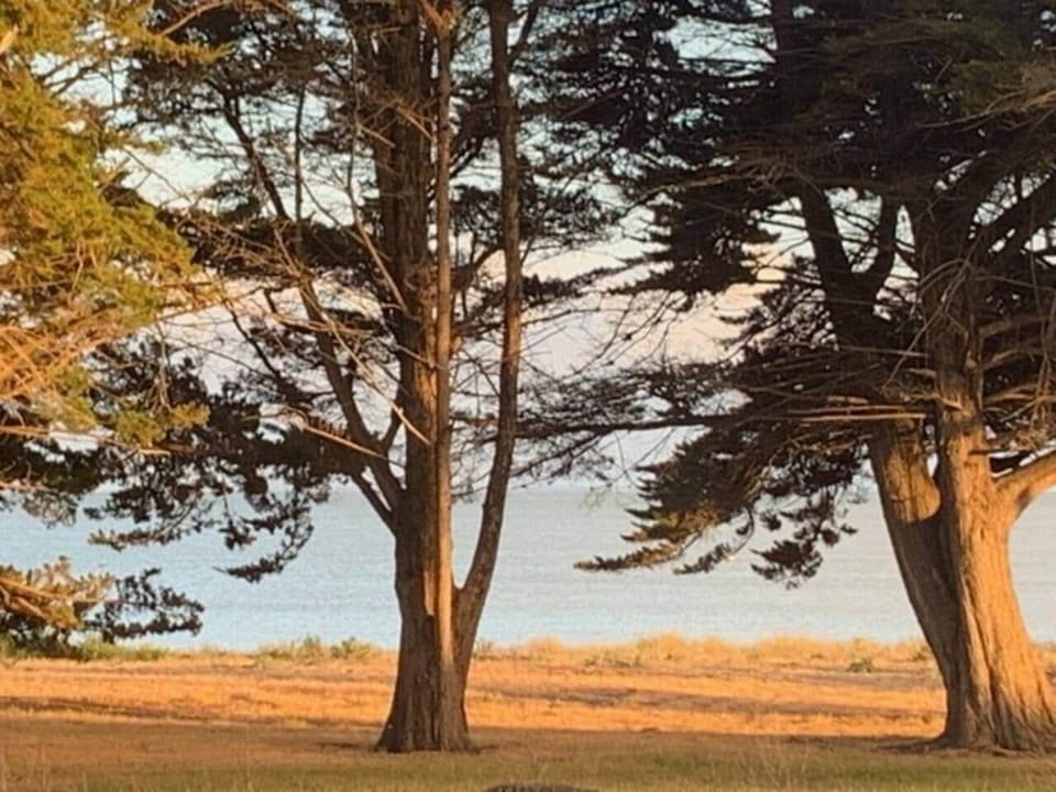 Vue de la propriété