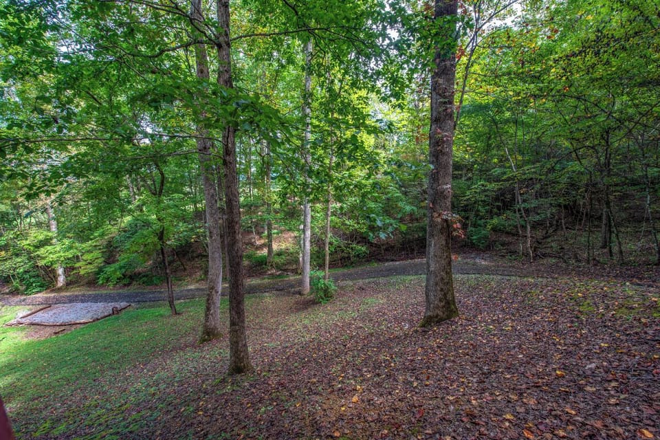 View from Sage Grass Retreat's relaxing deck