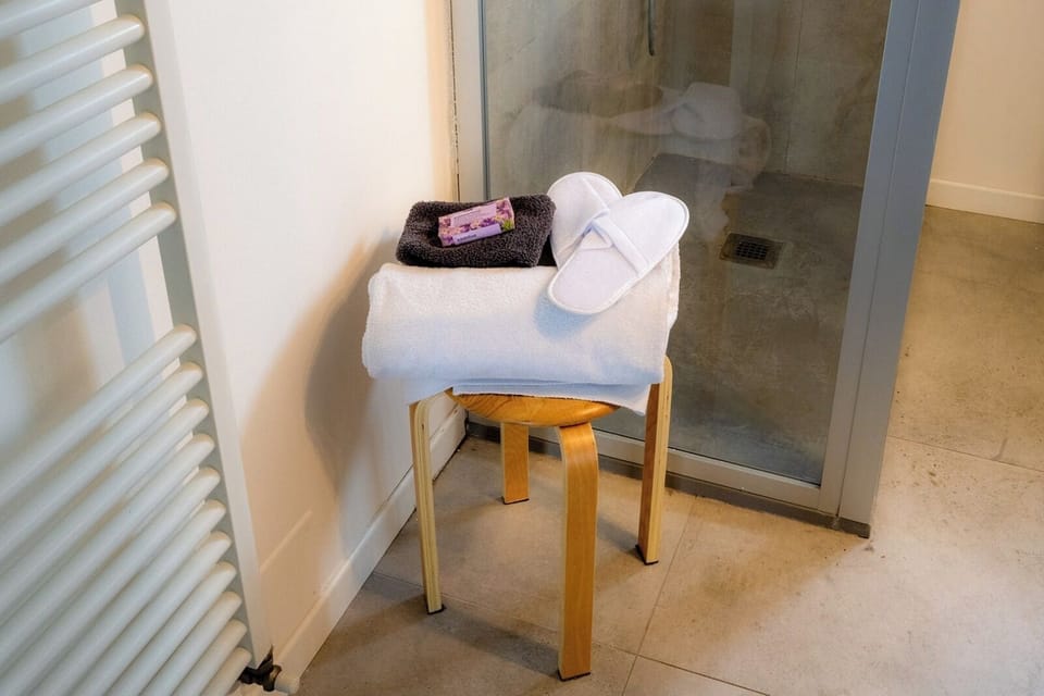 Comfort Double Room | Bathroom | Slippers, bidet, soap, shampoo