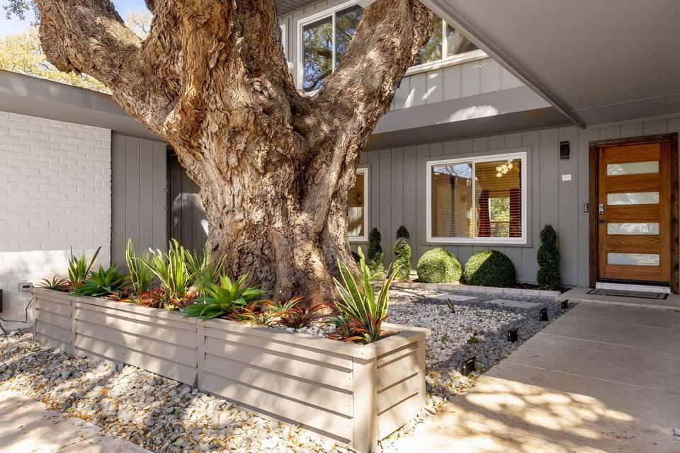 The namesake of The Tree House — step into serenity through our front courtyard, where a majestic 300-year-old oak tree stands watch, blending timeless beauty with modern charm.