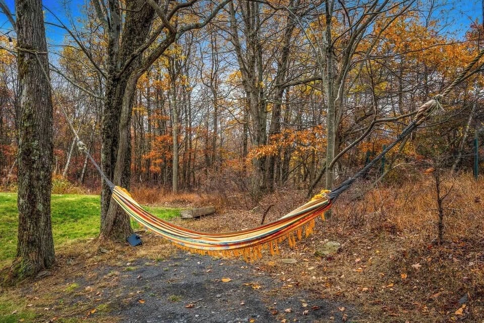 Colorful hammock strung in the woods for peaceful moments in nature