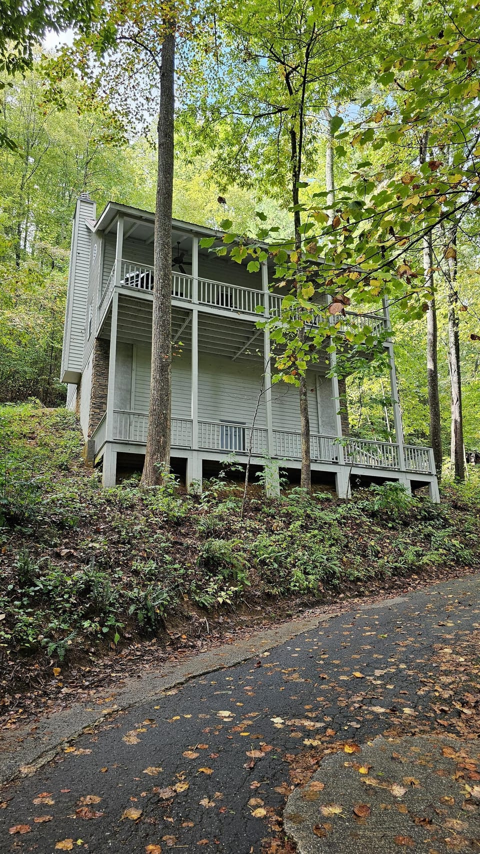 Back deck  with birds eye view of the tree tops.
