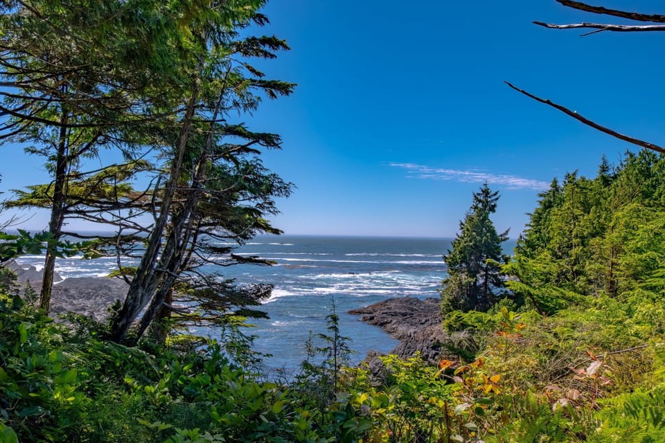 Signature Cabin, Ocean View | Terrace/patio