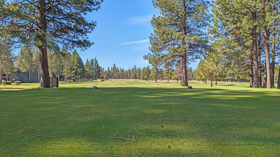 15th Hole of the Meadows Course