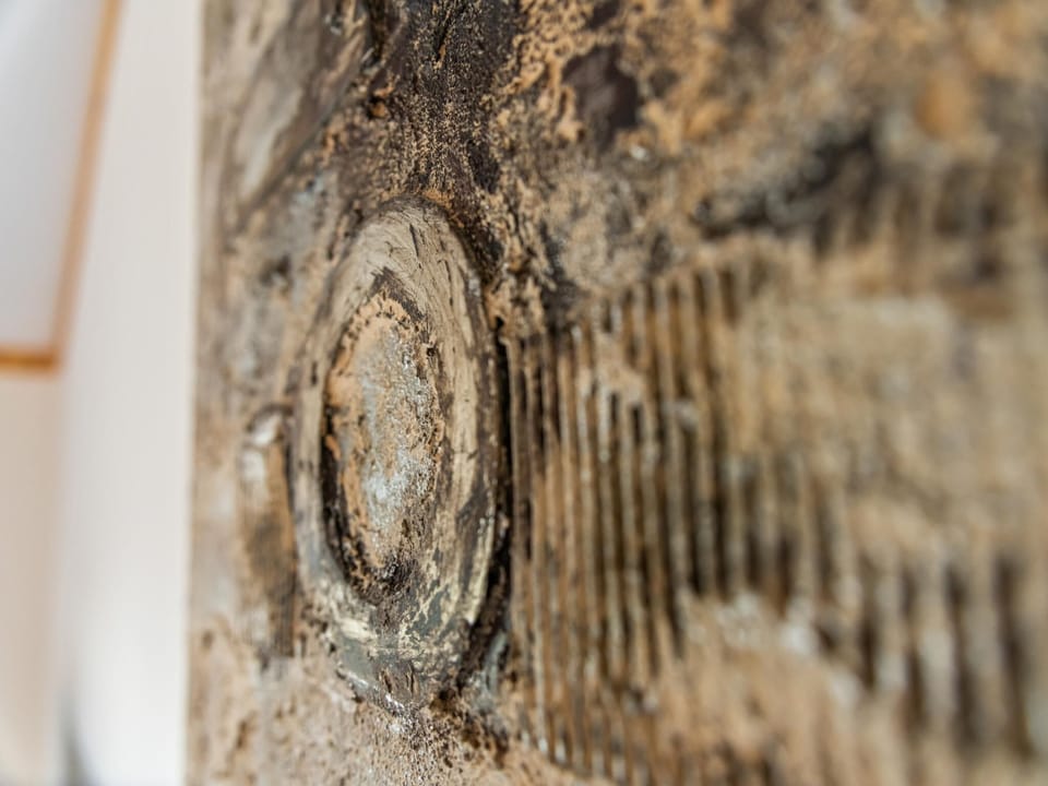 Ambiance / Close-up