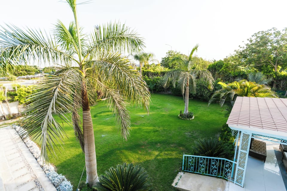 Land view from property