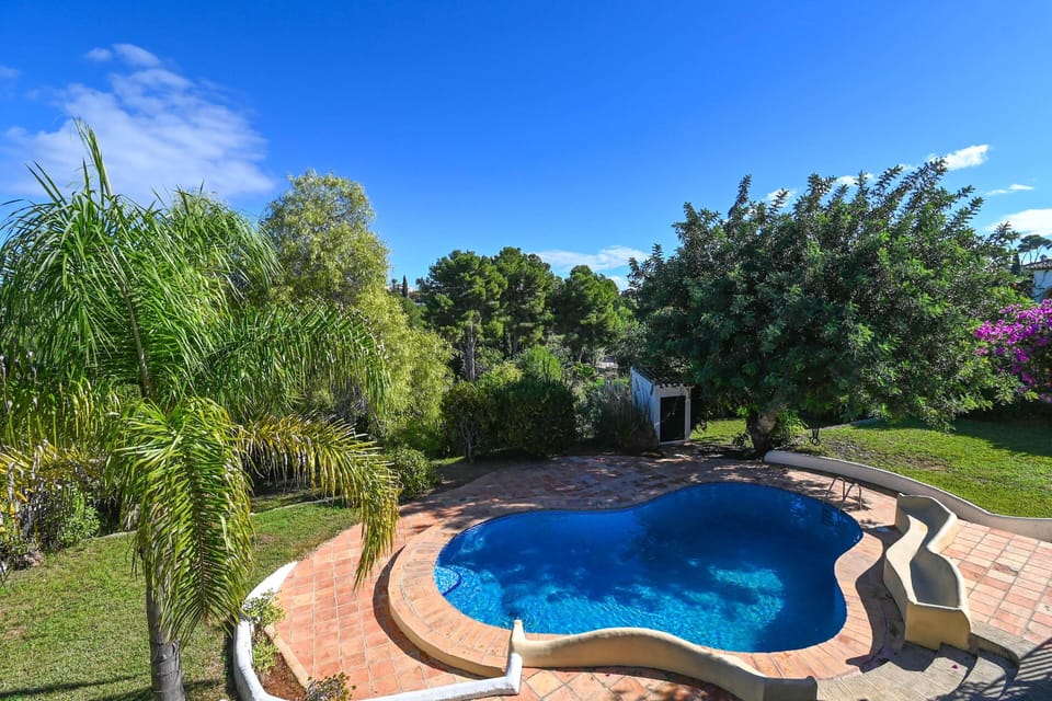 Garden and swimming pool