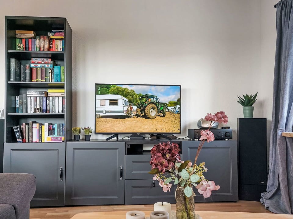 Furniture, Shelving, Shelf, Electronic Device, Interior Design, Television, Television Set, Cabinetry, Room, Flooring