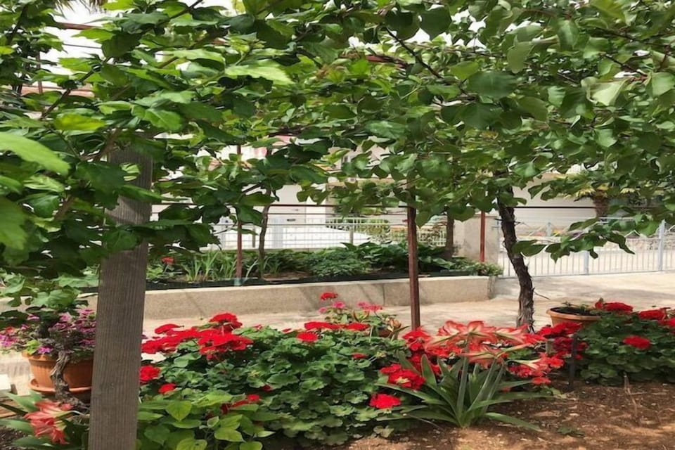 Garden [summer]