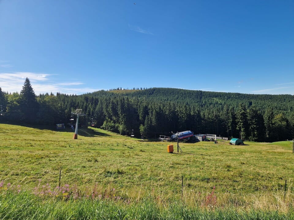 Grassland, Highland, Plain, Land Lot, Hill Station, Meadow, Pasture, Prairie, Field, Larch