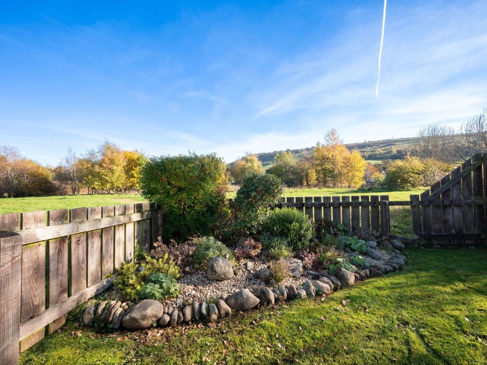 Shrub, Landscape, Garden, Plant Community, Grassland, Cloud, Groundcover, Landscaping, Meadow