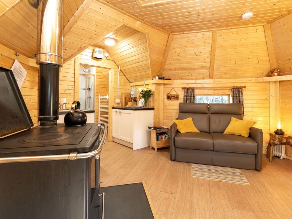 Wood, Interior Design, Kitchen, Ceiling, Kitchen Appliance, Room, Home Appliance, Countertop, Cabinetry, Major Appliance