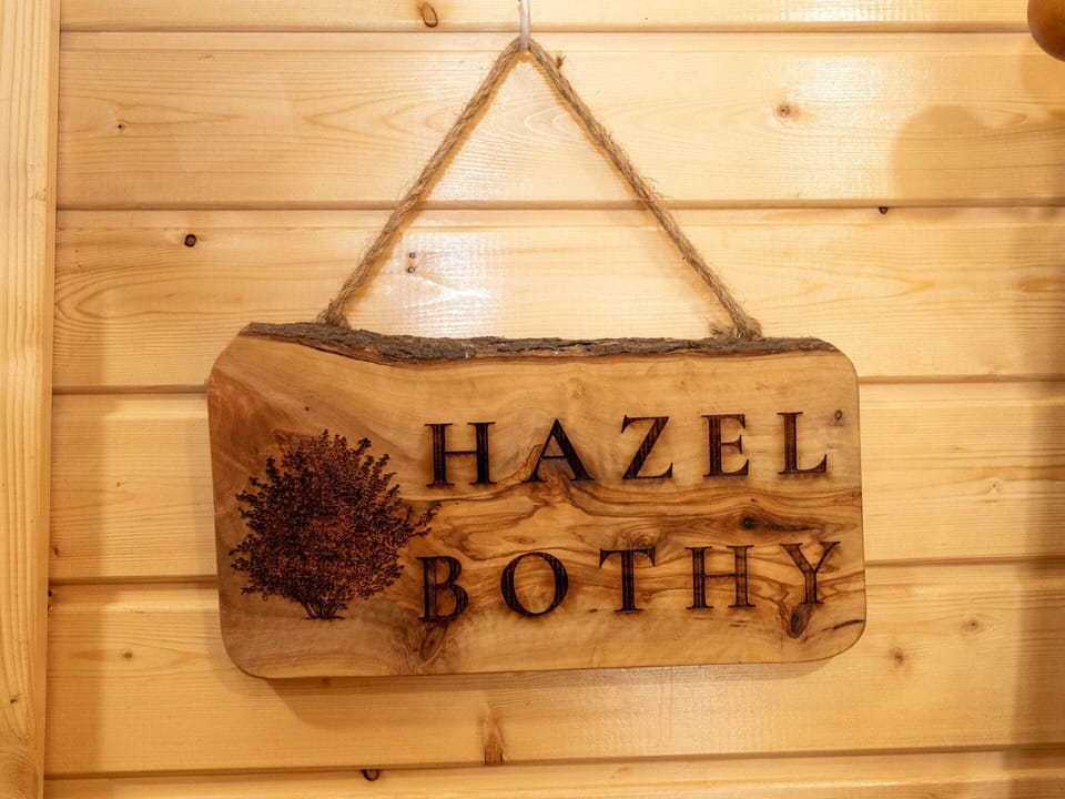 Wood, Plank, Hardwood, Wood Stain, Plywood, Natural Material, Varnish, Lumber
