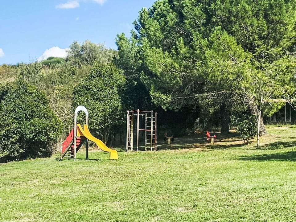 Grass, Playground Slide, Public Space, Outdoor Play Equipment, Garden, Lawn, Park, Shade, Chute