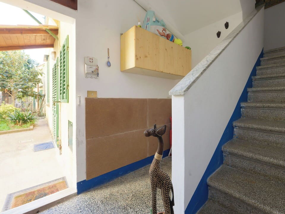 Wall, Flooring, Floor, Ceiling, Room, Stairs, Wood Stain, Paint, Plaster, Houseplant
