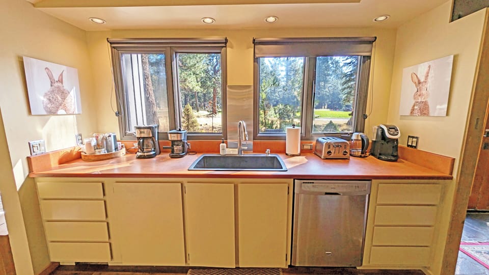 View from the Sink Counter