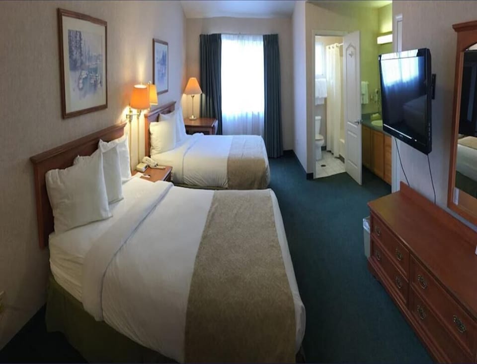 2 Queen Beds Suite Room  image 3