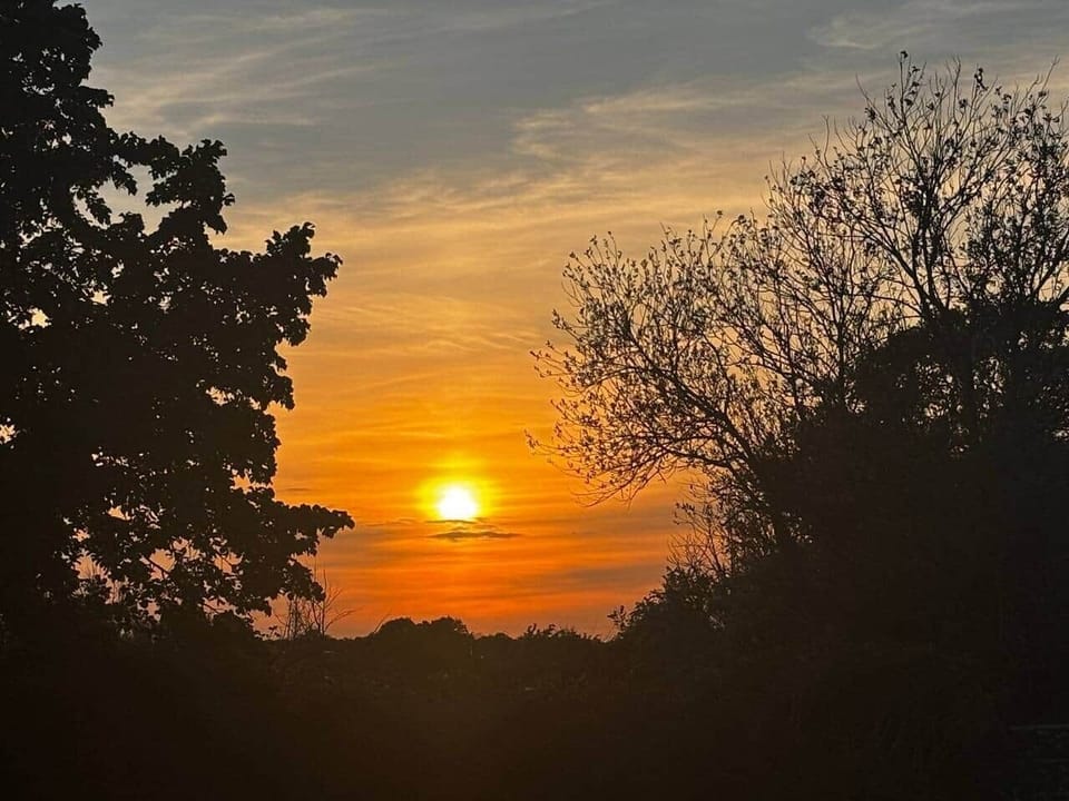 nice sunset