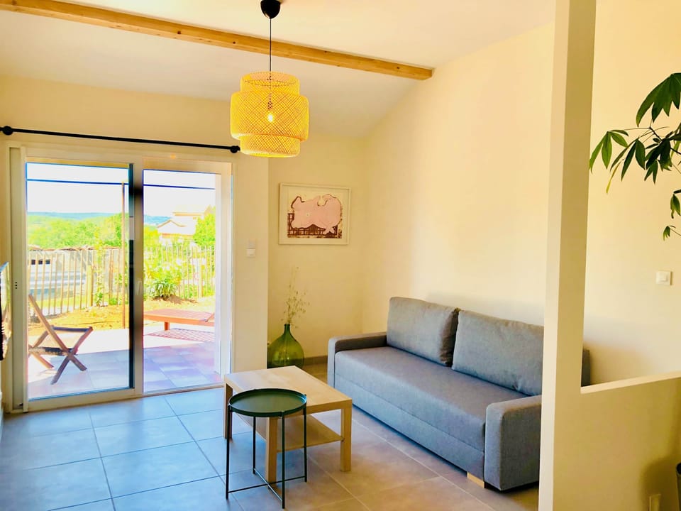 Salon ouvert sur terrasse et jardin