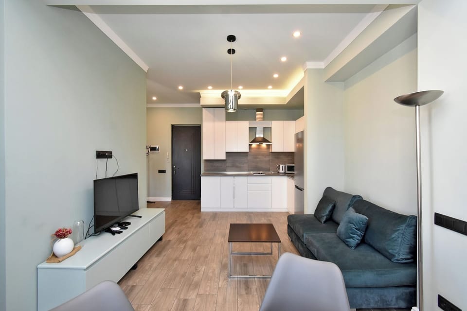 Classic Apartment, Balcony, City View | Living area | 50-inch flat-screen TV with cable channels